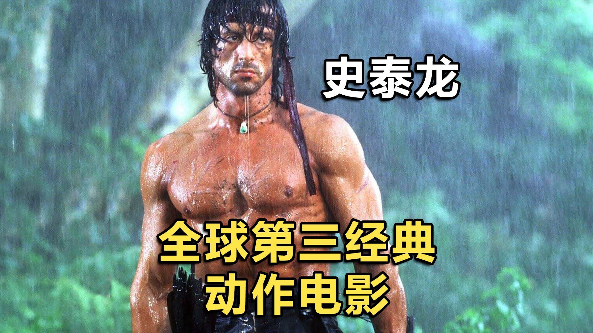 b体育网站注册-“领跑榜首的宿命较量，铁血战士谁能笑到最后？”