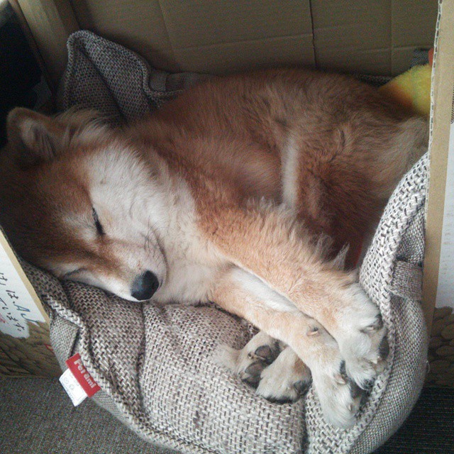 b体育电竞-_全球网络直播，直击精彩比拼零距离接触_，全球实时直播