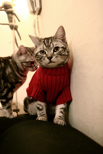 【运动员访谈】丁俊晖:如何在比赛中摆脱犯规困扰?,丁俊晖采访视频