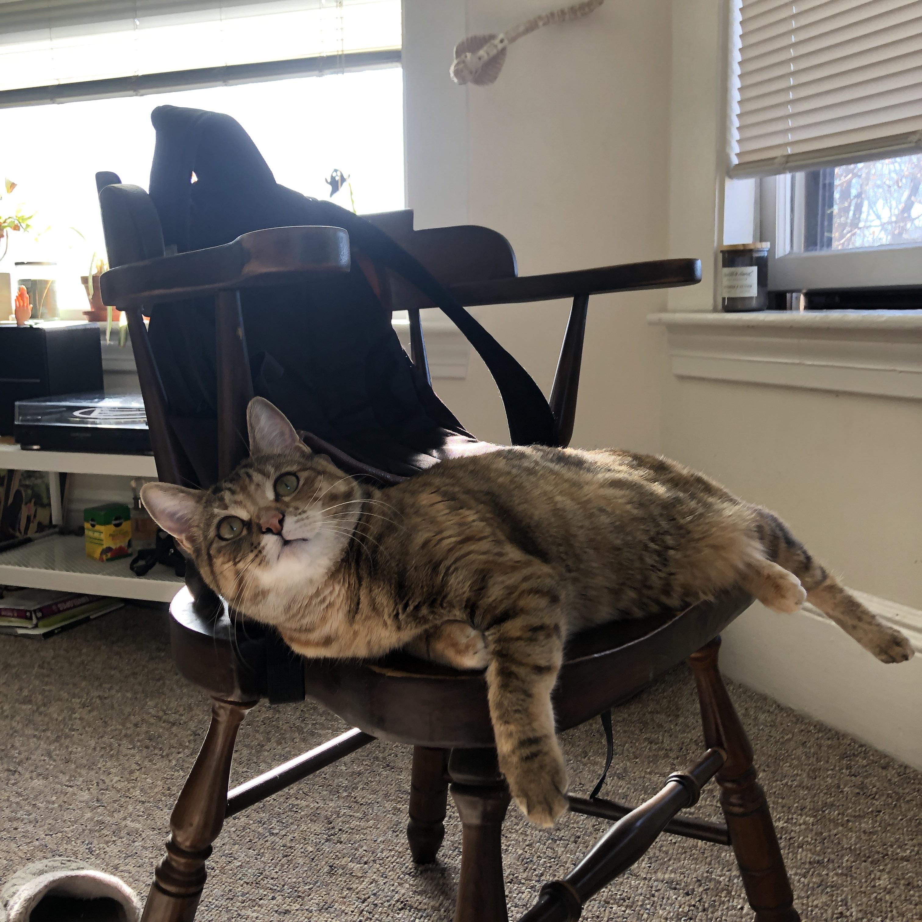 【运动员访谈】冠军运动员谈训练心路历程,运动员专访标题