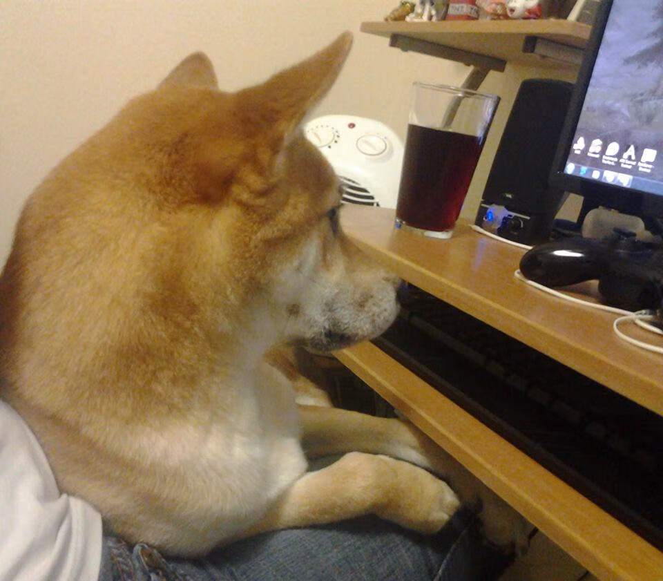 b体育在线平台-英格兰力克法国，收获历史首枚奥运奖牌，英格兰国家队奥运会