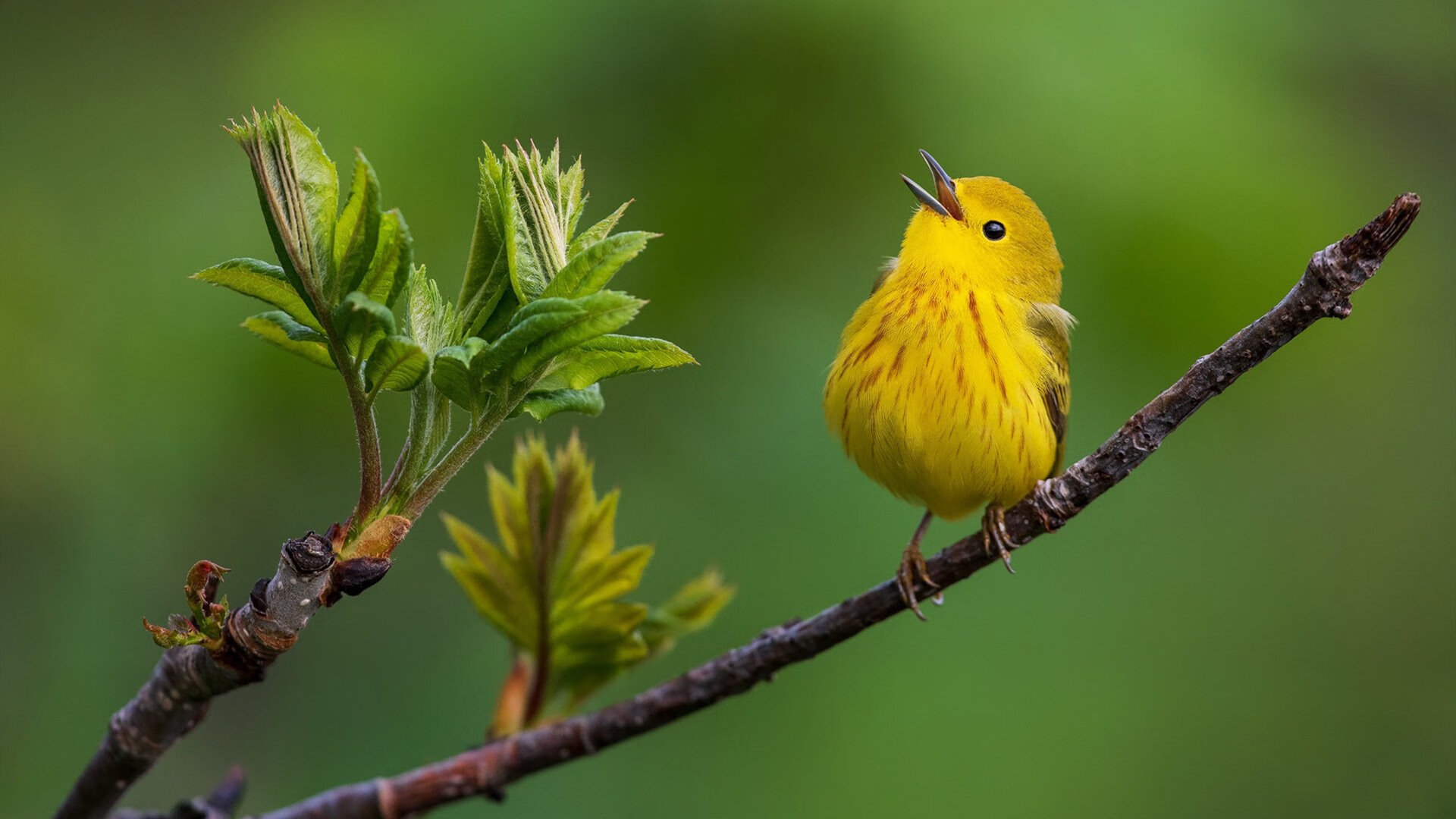 b体育在线平台-英格兰反曲弓队在2024年春季阿尔罗斯锦标赛中以6-2负于意大利队获得银牌