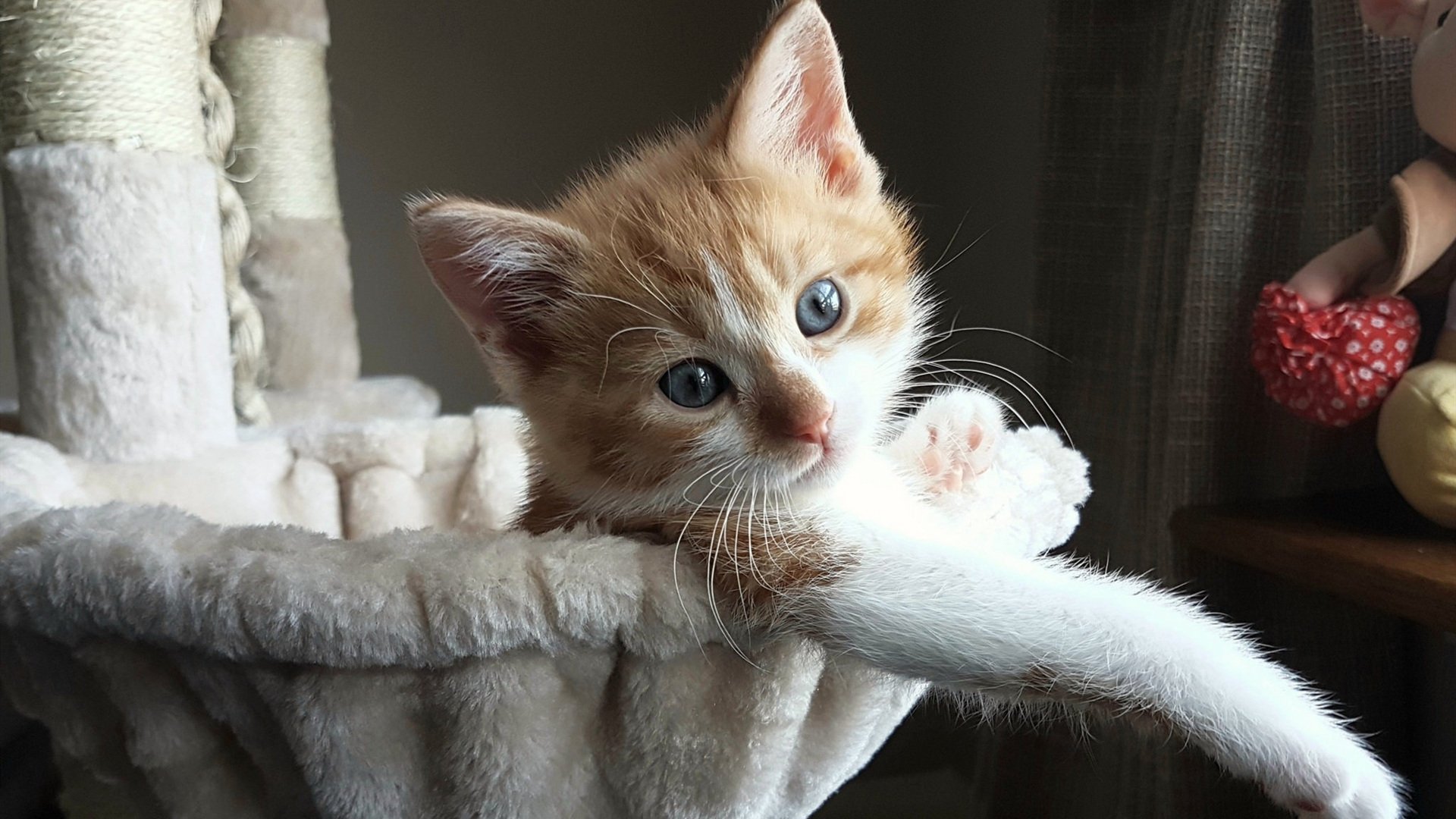 英格兰反曲弓队在2024年欧洲大奖赛中获得两枚银牌,反曲弓竞技比赛