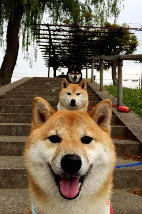 B体育-转折点：一场比赛中的战术调整如何改变结果？，球赛战术