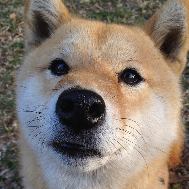 B体育下载-LCS积分榜排名大洗牌，lck2021积分排行榜