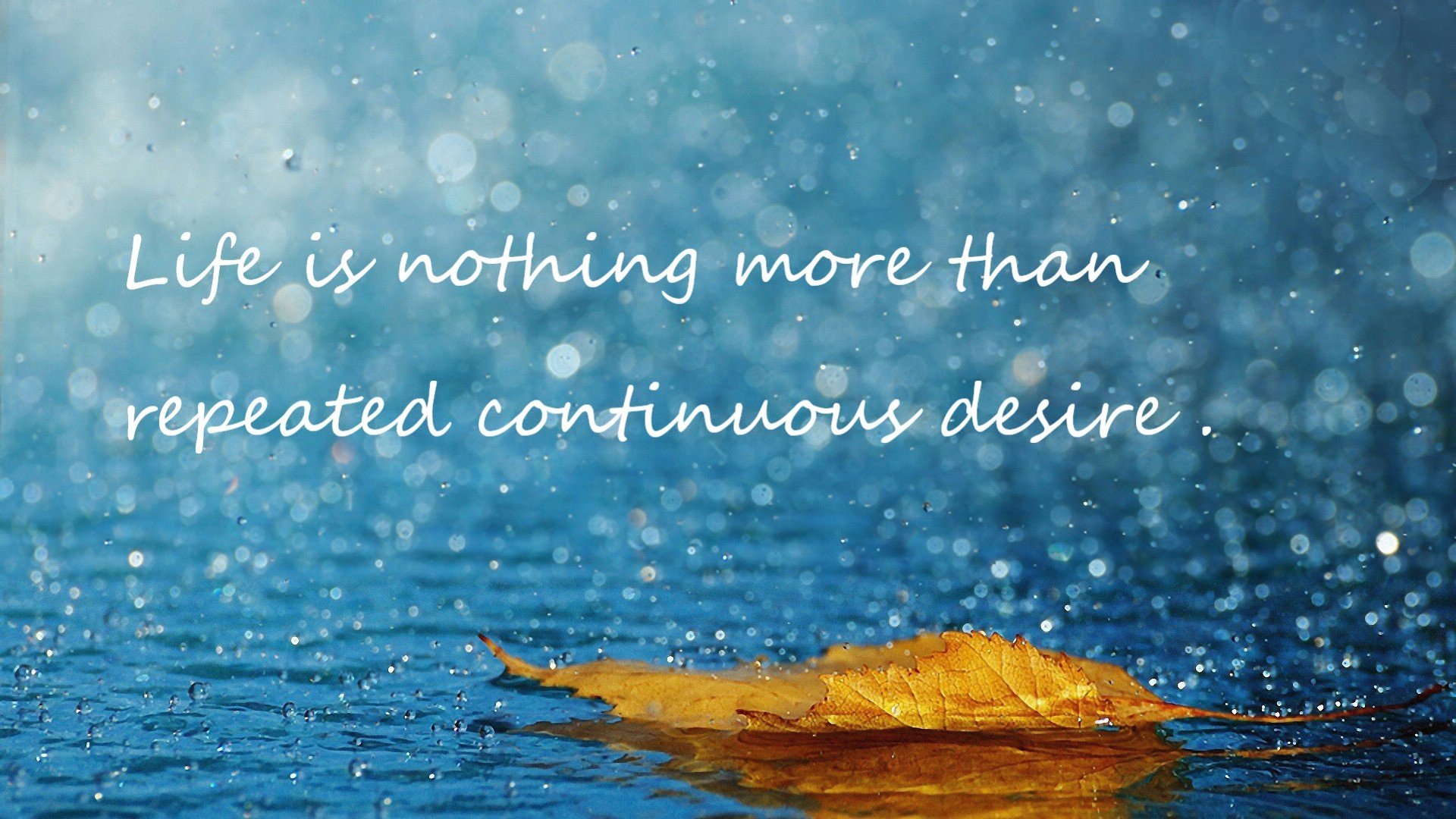 LCS积分榜排名大洗牌,lck积分榜排名最新