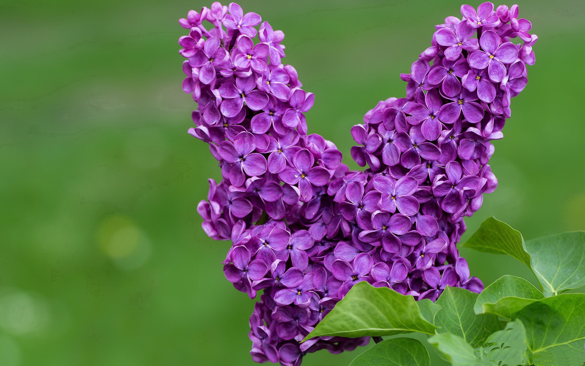 B 体育官网-是否应设立门将位置单独最佳新人奖，门将条件