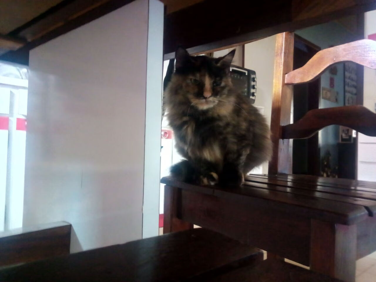 主帅确认未来重点提升技术打法比重