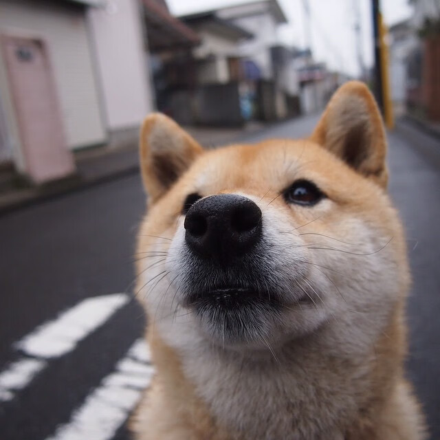 bsport-体育赛事票务系统优化，体育赛事门票的销售渠道和策略主要有哪些