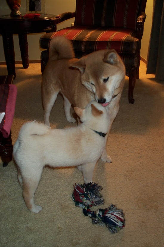 体育赛事票务系统优化,体育赛事门票的销售渠道和策略主要有哪些