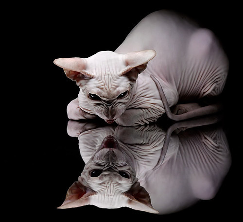 恩比德谈对内线防守的重视不容忽视，恩比德谈主场优势