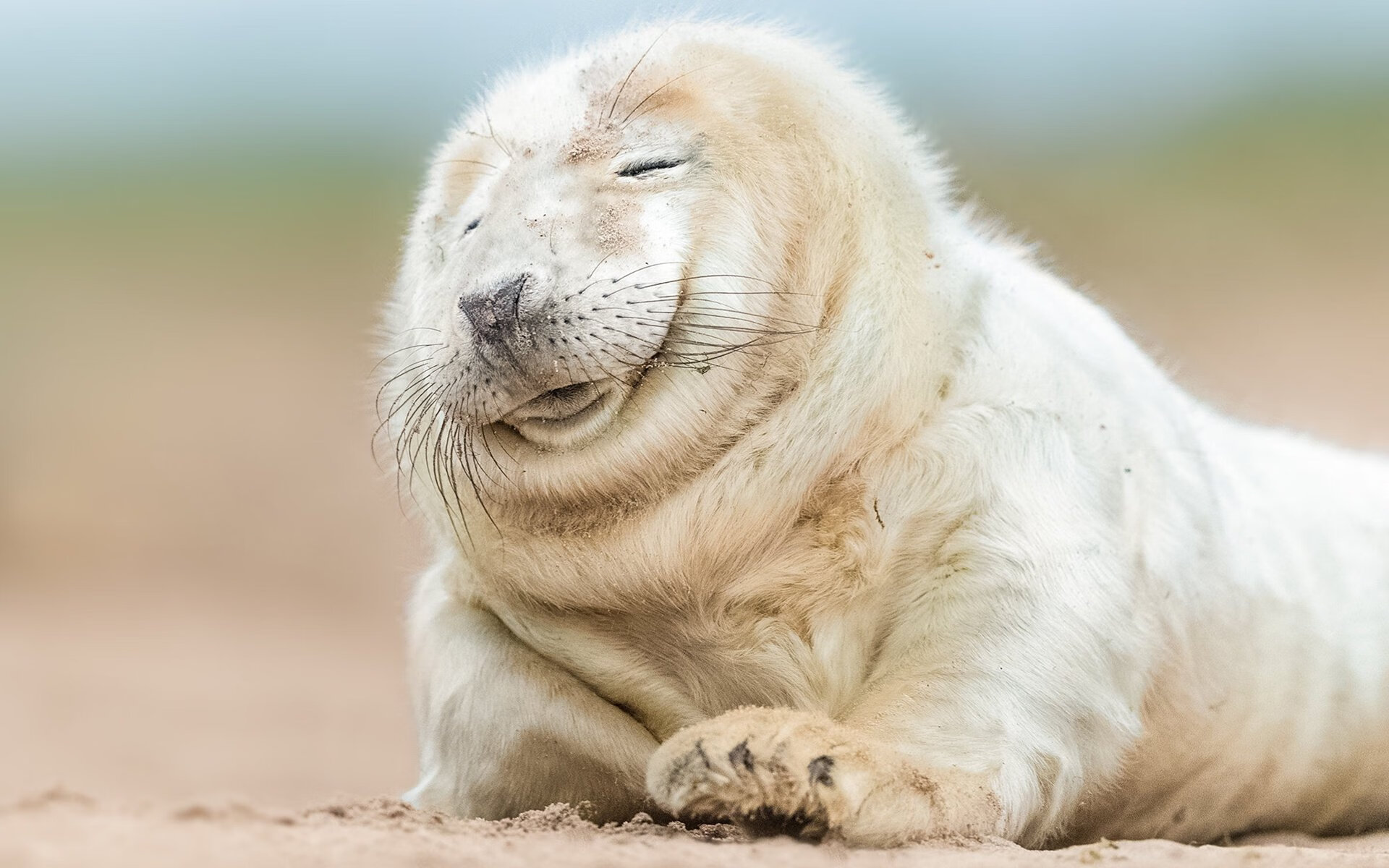 b体育APP-球队物理治疗团队引入运动康复机器人，物理治疗康复治疗技术