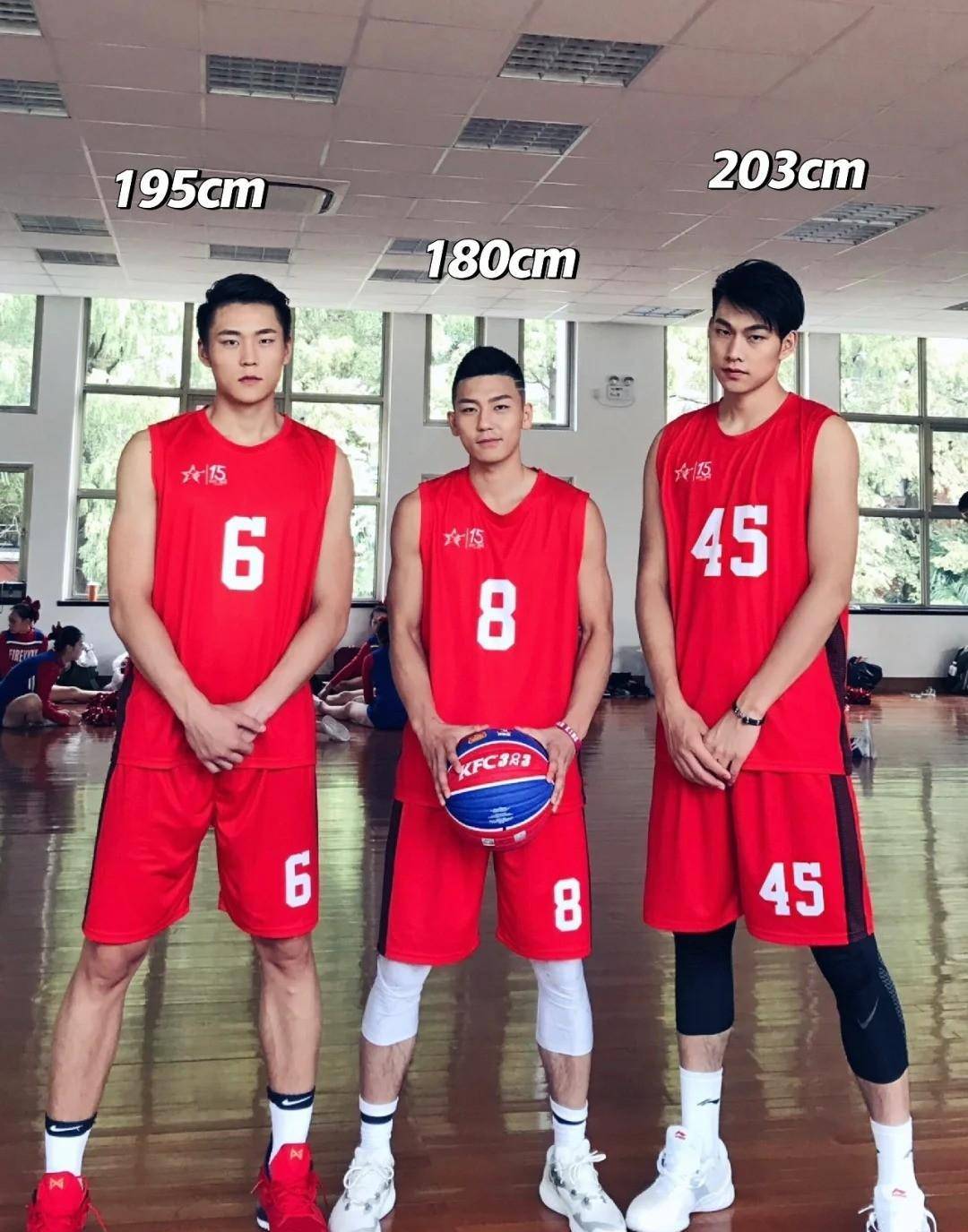 B体育官网：中国篮球教练员培养：专业、创新与国际视野的简单介绍