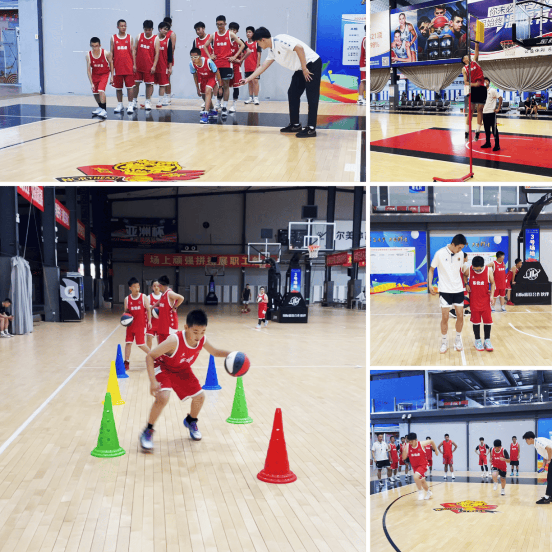 关于B体育官网:中国篮球青训营成果初显,年轻球员潜力无限的信息 关于B体育官网:中国篮球青训营成果初显,年轻球员潜力无限的信息