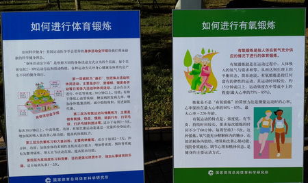 B体育官网:篮球运动科学:如何避免运动损伤,延长职业生涯?的简单介绍 B体育官网:篮球运动科学:如何避免运动损伤,延长职业生涯?的简单介绍